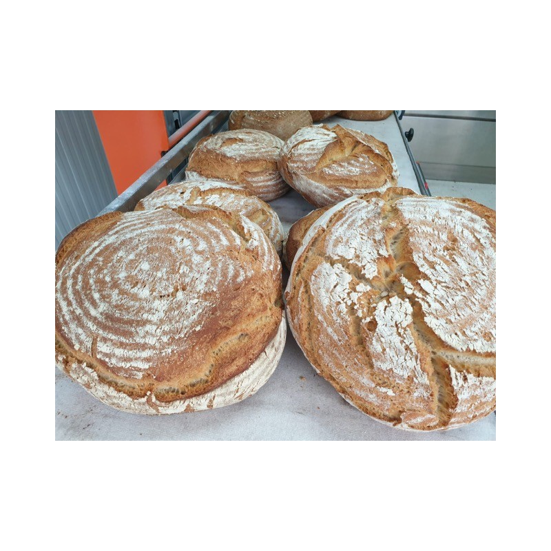 Pan Ecológico de Cortijo Artesano, 100% masa madre